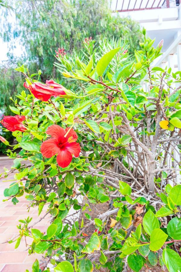 Vivienda Vacacional Sea Garden Costa Teguise Eksteriør bilde